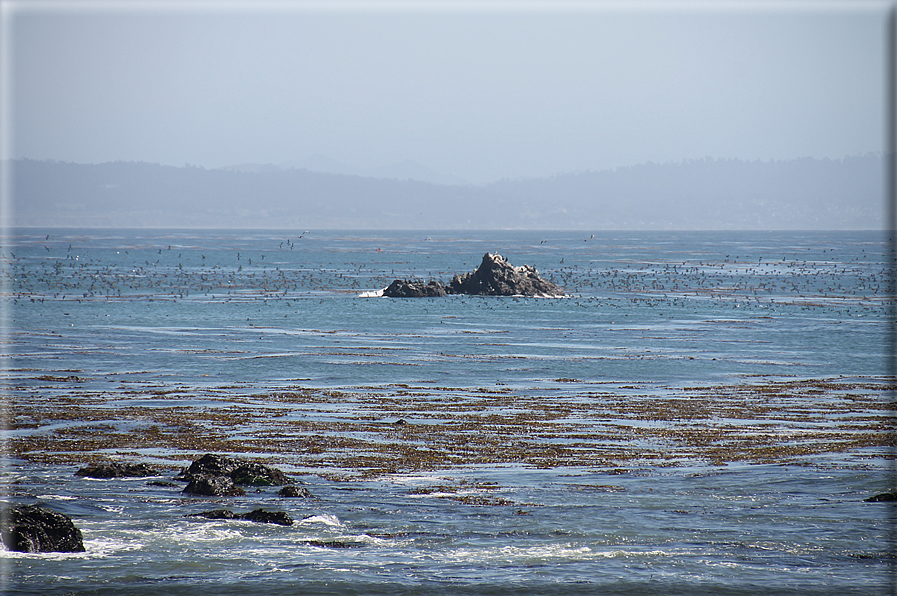 foto Costa del Big Sur